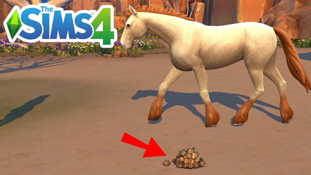 Guía de la expansión de rancho de caballos de Los Sims 4 Vendiendo estiércol de caballo en Los Sims 4